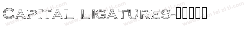 Capital ligatures字体转换